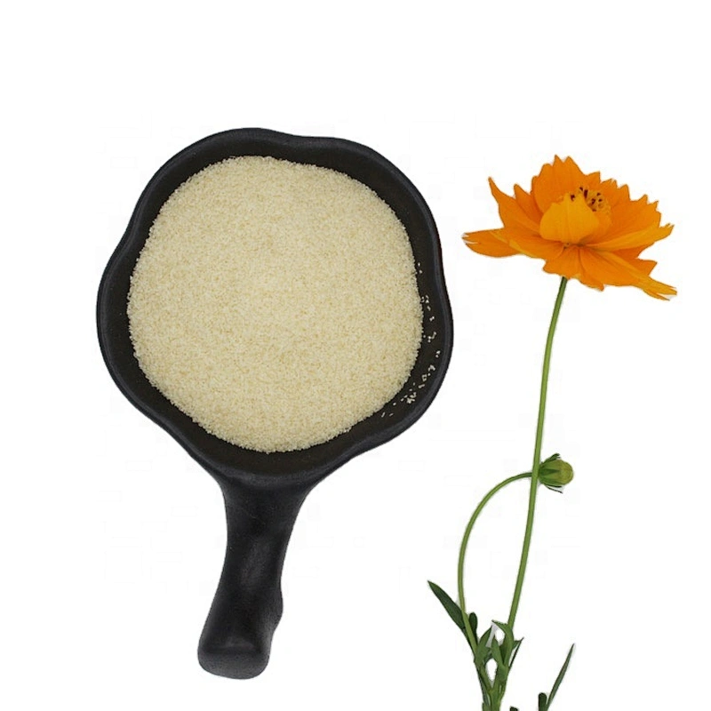 Ready to Ship Best Quality Good Price Well Known Brand Granule Gelatin for Food Additive gelatin