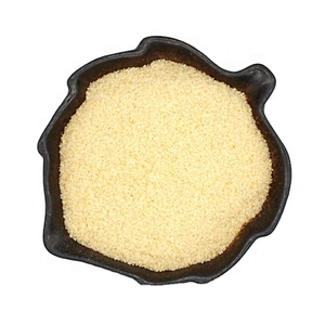 Ready to Ship Best Quality Good Price Well Known Brand Granule Gelatin for Food Additive gelatin